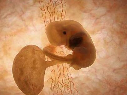 泰国三代试管婴儿医生怎么？