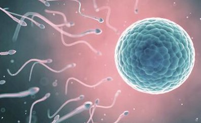 做试管婴儿过程中哪些因素会影响胚胎移植时间选择？