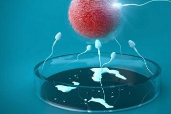 乐陵试管医院大搜罗，排名前三强，专业助您妇幼