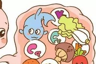 上海办2三代试管婴儿价格表