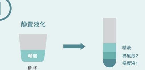 秦皇岛妇幼医院试管婴儿项目是否开展？