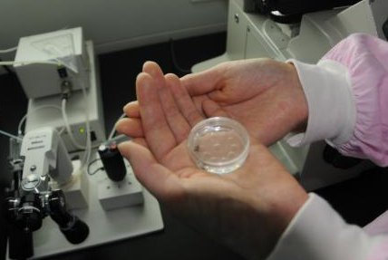 国内助孕生子合不合法？试管助孕真实案例分享