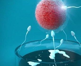 美国三代试管婴儿价格表一览详细解析